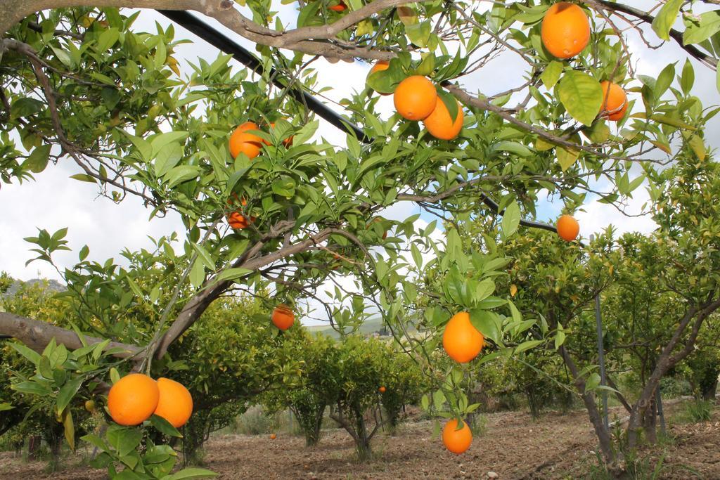 Tenuta Lanza Il Mulino Acquaviva Platani ภายนอก รูปภาพ