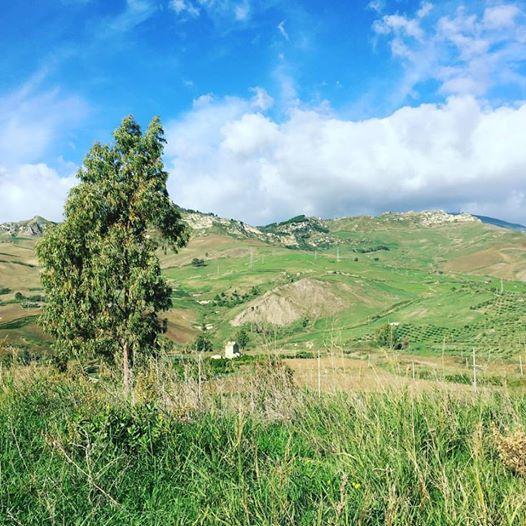 Tenuta Lanza Il Mulino Acquaviva Platani ภายนอก รูปภาพ